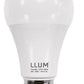 Lampada Led Bulbo Led A60 E27 6500K Branco Frio 15W Bivolt Cor Da Luz Branco-Frio 110V/220V